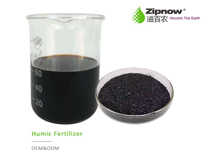 Odoo－三列示例 1