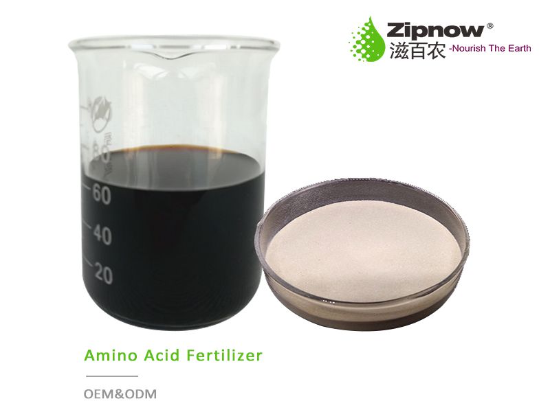 Odoo－三列示例 2