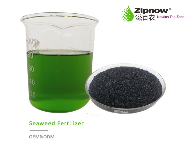 Odoo－三列示例 3